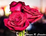 Four_Roses_92019_006.jpg