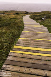 Cape Spear Lighthouses  