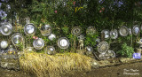 Litto`s Hubcap Ranch