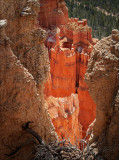 Bryce Canyon  