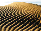 _IMG0486.jpg