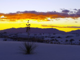 Sunsets