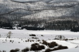 Colorado Winter