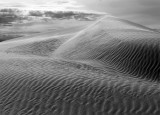 _IMG6956ir.jpg