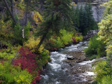 _IMG6998.jpg