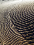 Sand Dunes