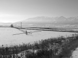 _IMG1647.jpg