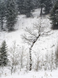 _IMG1293.jpg