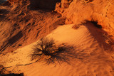 DSCF9871.jpg
