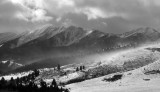 Black and White Montana