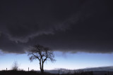 Ominous