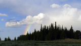 _IMG6015.jpg
