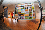 MY STREET PHOTO EXPO AT BREDA GALLERY DRIFT