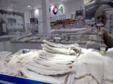 DSCN0273.jpg