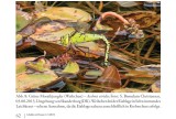 Aeshna viridis Libellen in Hessen 12 2019