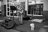 Busker and her dog