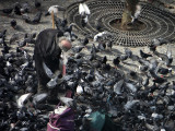 (26) Old man and birds