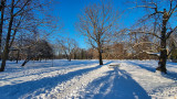 Another winter at the Royal Lazienki Park in Warsaw