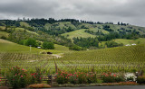 Navarro vineyards - Anderson Valley 