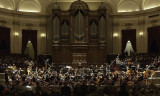 At the Concertgebouw