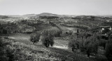 Umbrian Hills near Perugia