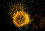 Flowers of Stone