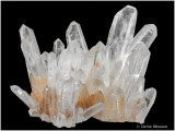 Mineral & Gem 2019 56ème show