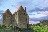 Carcassonne, la Cité