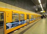 Yellow Travel Tube
