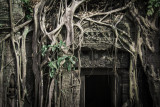 Angkor Wat