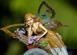 FairyFrntDeck061319.jpg