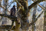 JuvenileBaldEagleRckprt103019.jpg
