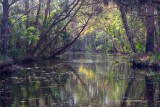 CrystalRiver021320.jpg