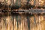 BarnabySlough4thPond012221.jpg