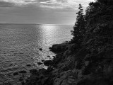 A view from Acadia National Park