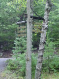 DSC01238.JPG
