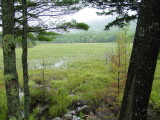 DSC01261.JPG