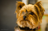 Bella-July13-2.JPG