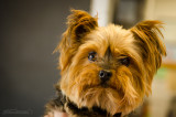 Bella-July13-4.JPG