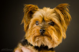 Bella-July13-8.JPG
