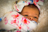 Jodie_Oct8-50.JPG
