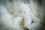 Jodie_Oct8-74.JPG