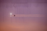 In the Moment photographs 