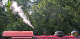 Cab and steam 
