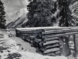 Log cabin at old Capital City, high above Lake City, Co.