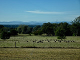 View from cottage verandah