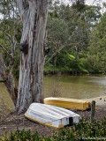 Waiting at the river Yarra, 10 minutes from the city centre
