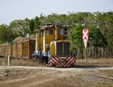 Sugarcane train