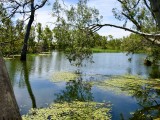 The Victorian Mallee