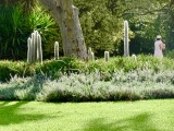 St Kilda Botanic Gardens